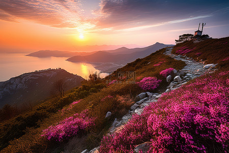 山那边有夕阳花开