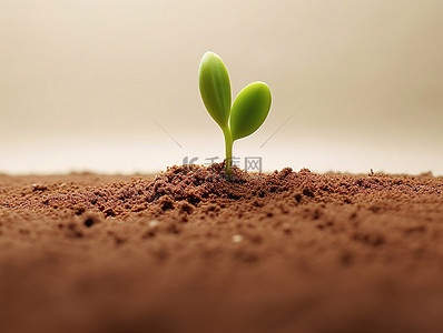 泥土剖面背景图片_幼苗和植物在泥土中生长