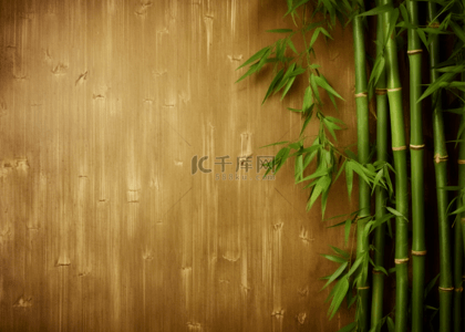 竹子木头自然背景