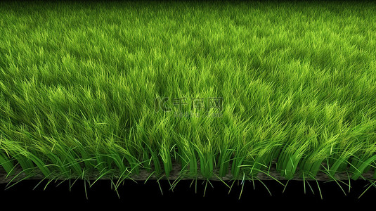 新鲜的春天绿草自然纹理背景的 3d 渲染