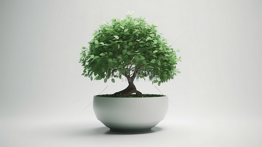 大绿树叶子背景图片_一棵 3d 渲染的绿色盆栽树作为干净的白色背景上的焦点