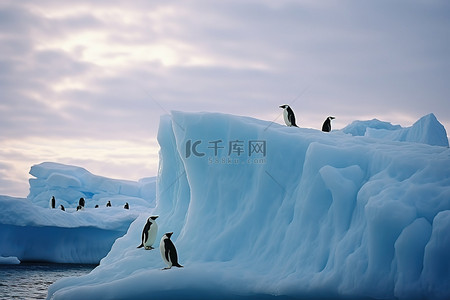 企鹅站在冰山上