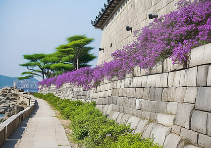 旅游景点背景图片_景福宫 朝鲜 旅游景点