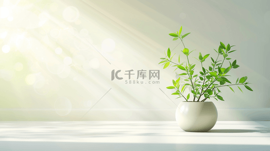 白色简约室内场景清新花瓶盆栽的背景9