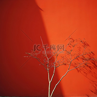 红墙上一棵长枝树的照片