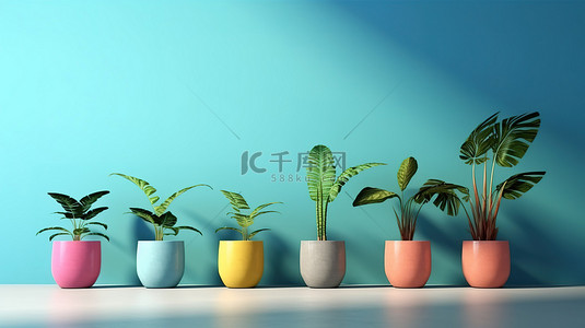 充满活力的盆栽室内植物在活泼的蓝色背景下，具有 3D 渲染文本的空间