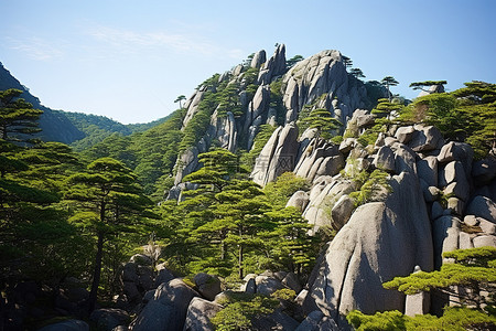 山上有一群巨石矗立在森林里