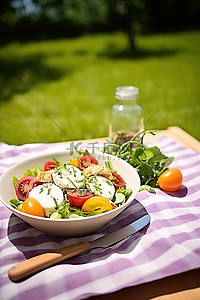 水果沙拉背景图片_野餐桌上的沙拉 priv pnyslcd0396529