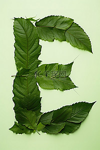 大叶子组成绿色背景的字母e