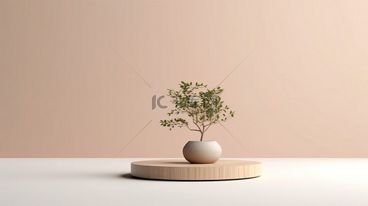 时尚的木质讲台，配有植物花瓶简约的 3D 渲染展示背景
