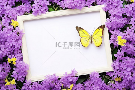 挂墙相框背景图片_紫色花朵上的相框，前面有一只黄色蝴蝶
