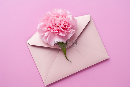 母亲节康乃馨背景图片_信封里的粉色康乃馨花