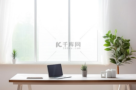 桌子上的一张照片，上面有笔记本电脑和植物