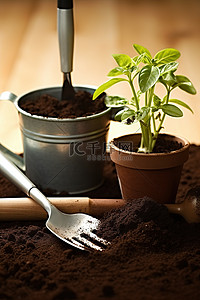 盆栽发芽背景图片_在土壤和园艺工具中的花盆上发芽