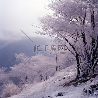 山腰结冰的树木和被雪覆盖的树木的场景