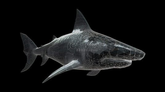 大白鲨鱼鱼背景图片_3d 渲染中孤立的黑色背景线框多边形鲨鱼