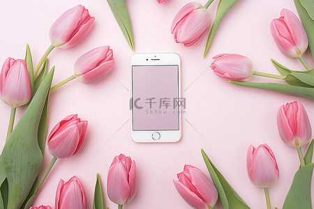 金背景图片_被粉红色郁金香包围的手机