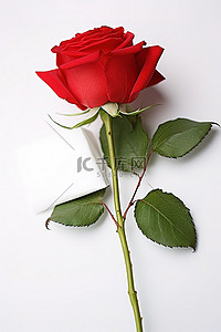 我爱你背景图片_一张我爱你的卡片，放在玫瑰旁边的白色表面上