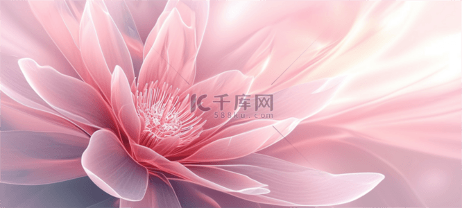 女王节女王节背景图片_妇女节粉色盛开的花朵素材