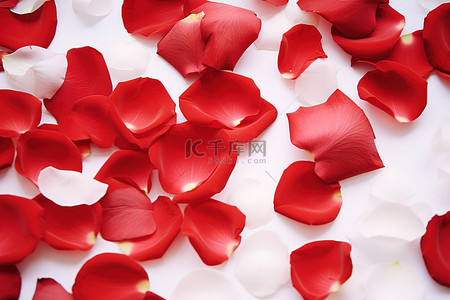 玫瑰花瓣背景图片_桌面背景上的红色玫瑰花瓣