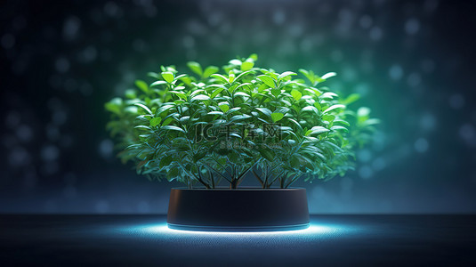 绿叶背景图片_百里香植物在绿色环境中 LED 生长灯下茁壮成长的 3D 插图