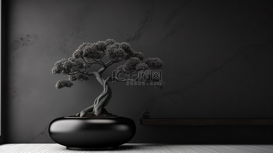 空房间里黑色石膏墙旁的盆栽盆景树的 3D 插图