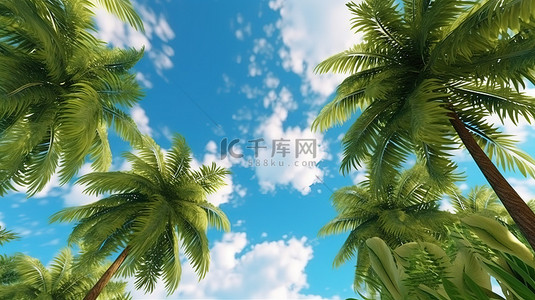 夏季蓝天背景与椰子树叶子的 3d 渲染