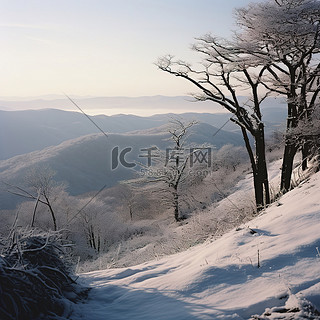 山腰场景，树木和山脉被雪覆盖