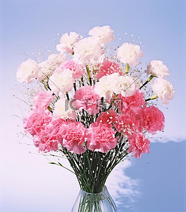 粉色康乃馨和白色满天星价格实惠