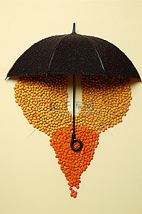 用种子做的伞