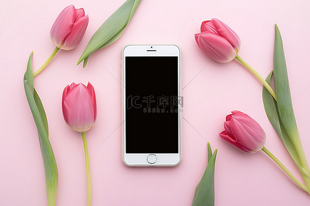 桌子上的手机背景图片_粉色郁金香智能手机放在桌子上，周围是一些花