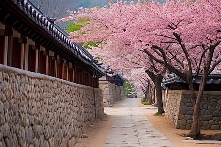 樱花街道背景图片_利川风景村是一条狭窄的街道，有石头建筑和树木