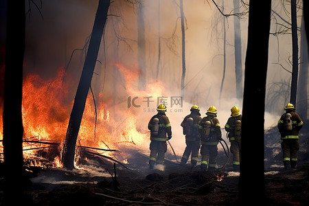 照片墙绿幕背景图片_消防员前往扑灭森林火灾 照片 aap 火场照片