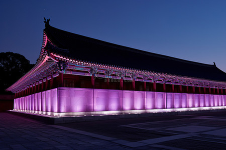 该建筑在夜间亮起紫色灯光