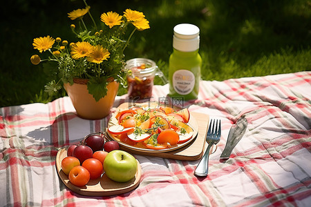 带沙拉和苹果的户外野餐