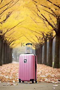 一个带着粉色围巾的行李箱放在树旁的公园里
