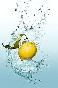 水柠檬 水溅 水溅