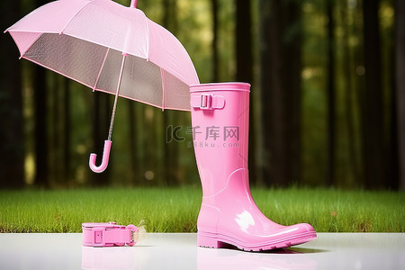 雨伞背景图片_穿着粉红色连衣裙的靴子和雨伞