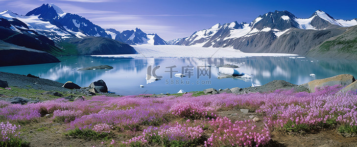 开着紫色花朵的冰川，俯瞰着湖泊