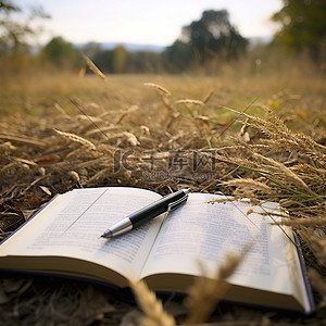 落叶蚂蚁背景图片_一本打开的书和一支笔在田野里