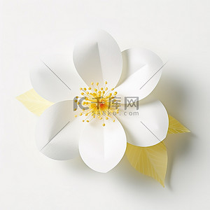 一朵白色的花站在白色的背景下