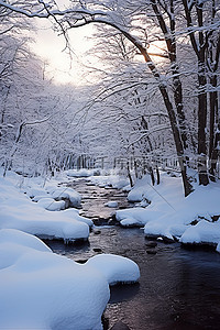 冬季背景图片_冬季雪林树木即墨松浦仁王河