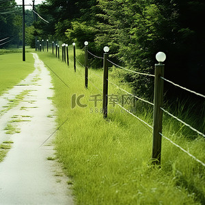 一条带有灯杆的小路通向自然绿地