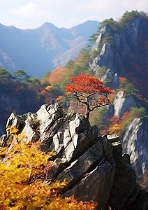 秋背景图片_秋天在山附近的岩石顶上