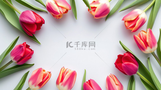 春天背景图片_郁金香花朵美丽的框架背景素材