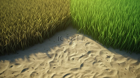 一半沙滩和一半绿草背景的 3D 渲染