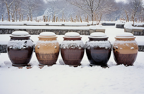 五个大盆并排坐在雪地里