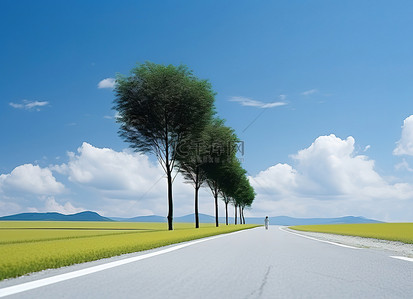 天空路上背景图片_路上有树在田野里