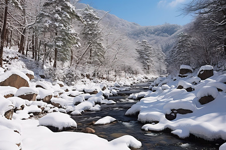 冬末雪地里美丽的冰冻溪流的景色