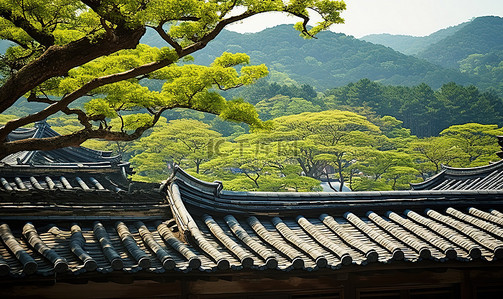 背景是绿树和山，宫殿的屋顶俯视